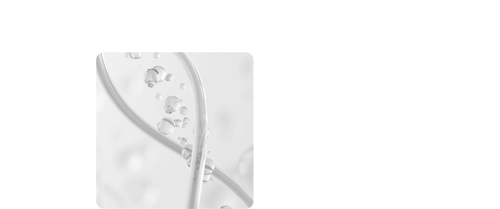 청담쟈스민라인의원 줄기세포