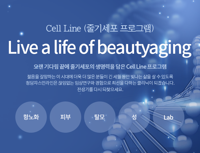 줄기세포
