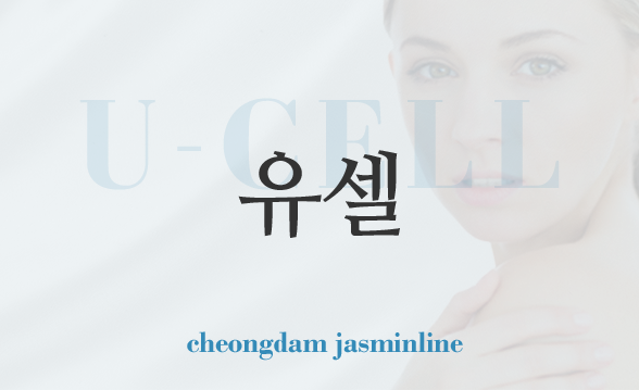 유셀