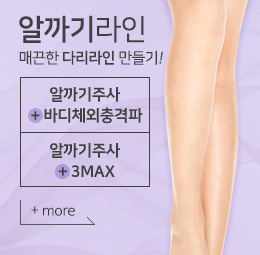 다리라인