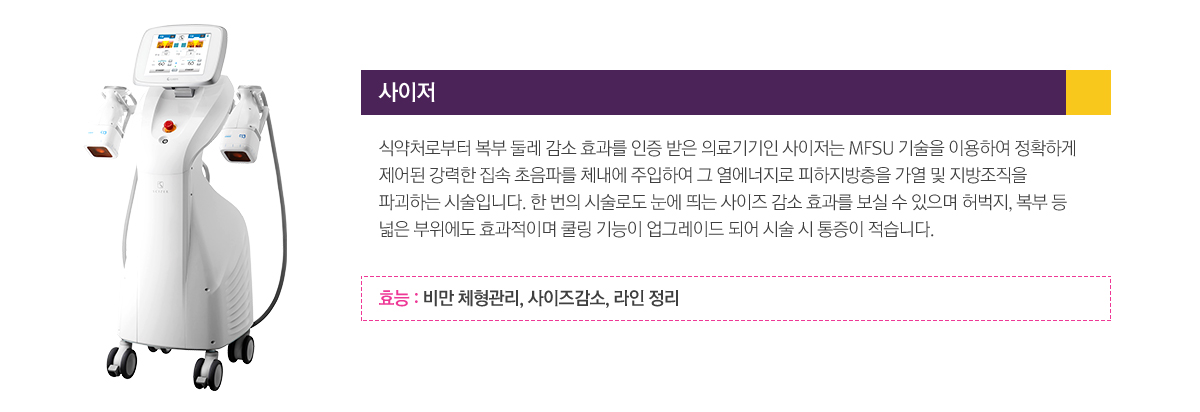 사이저