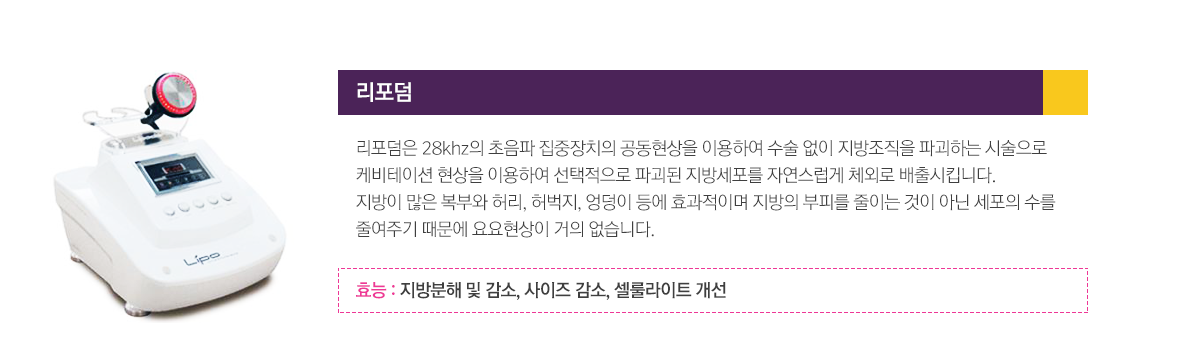리포덤