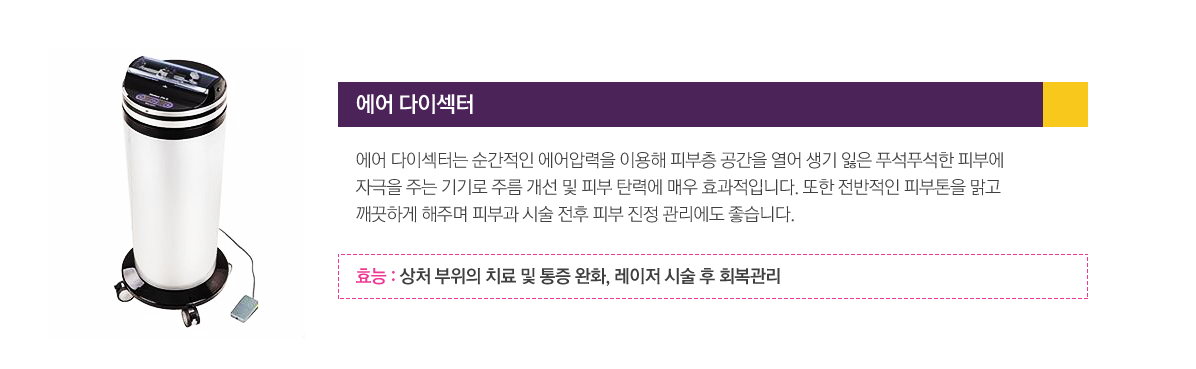 에어 다이섹터