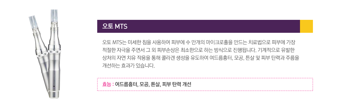 오토 MTS