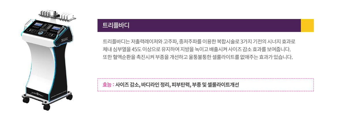 트리플바디