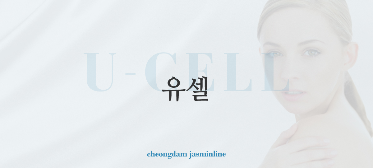 유셀